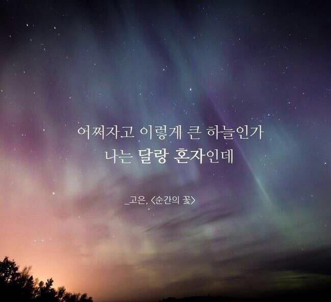 Typewriter_88's tweet image. 