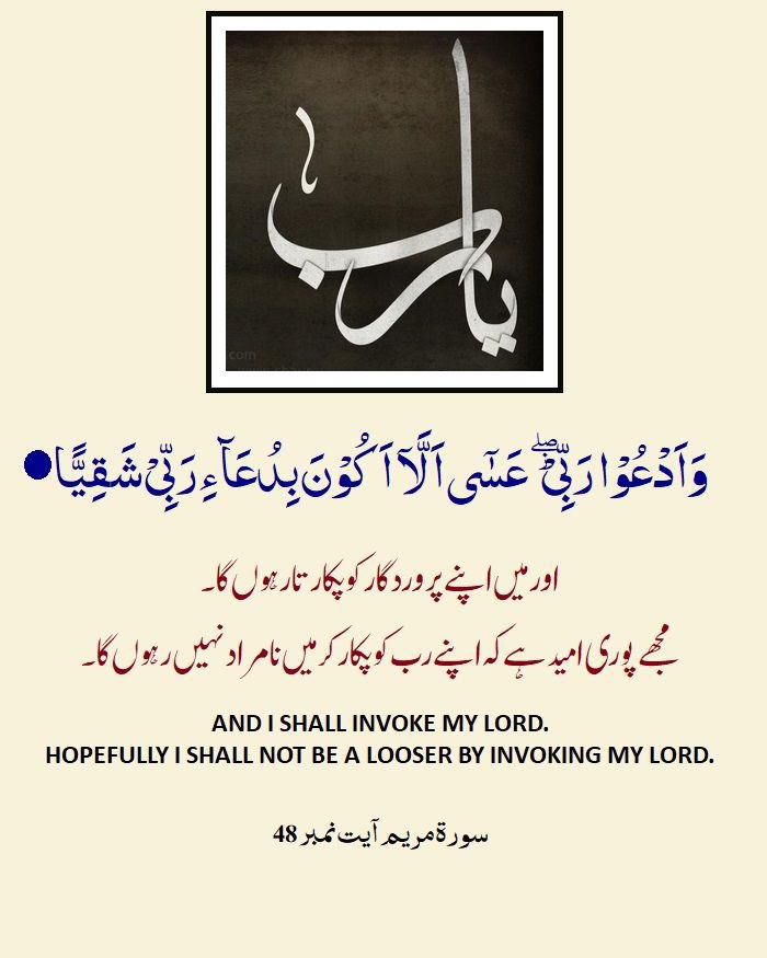 الســــــلام وعلیــــــــکم  ورحـــــمۃ اللــــہ وبرکاتــــہ ۔!!

صبح بخیر زندگی ۔۔🌹

 #Islamicbooks_education