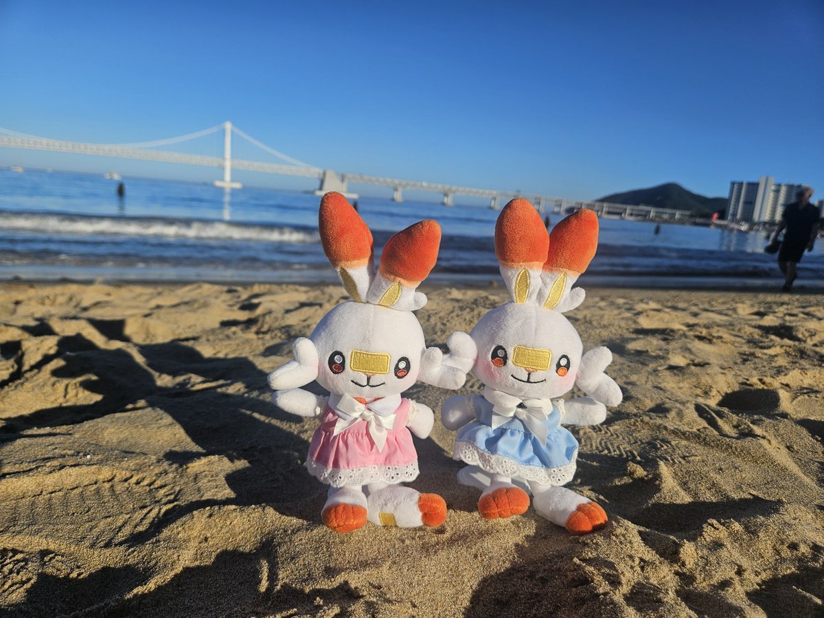 #ポケモン #ポケぬい #ブニとブギ
いいな~