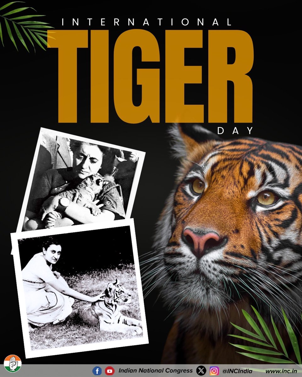 INCJharkhand_'s tweet image. On International Tiger Day, we salute the efforts and reaffirm our commitment to the conservation of our national animal, the Royal Bengal Tiger. 

It was Indira ji&apos;s visionary leadership that led to the launch of Project Tiger in 1973, which went on to become a global example…