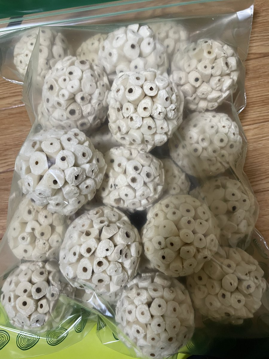 N1zUYkGTAVJij1v's tweet image. ソラボールが届いた‼️
これで一安心😅