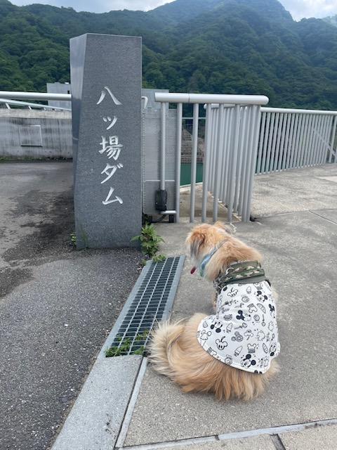 広報員のなるほど！八ッ場ダム】八ッ場ダムではペット同伴可能(多目的