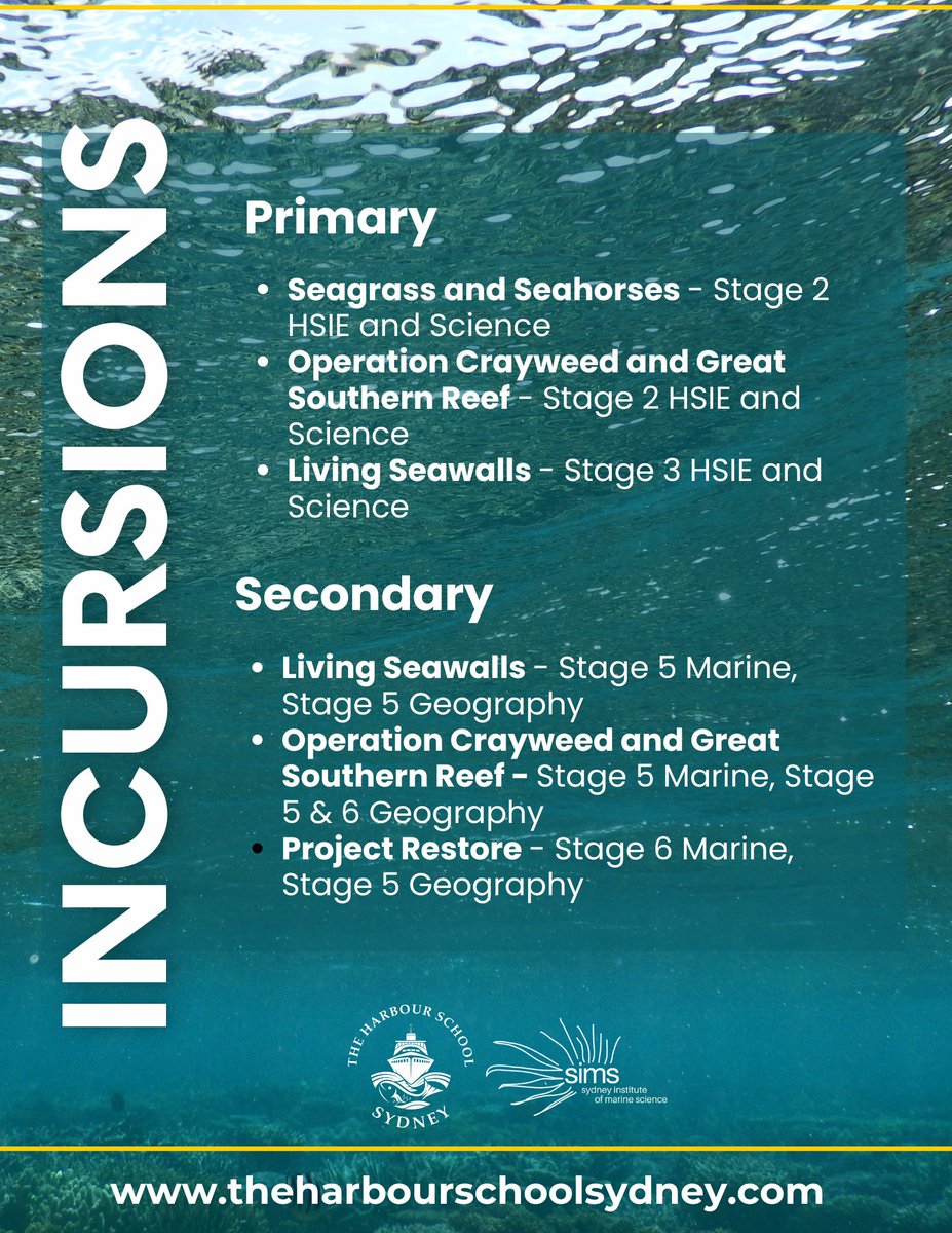 A range of incursions are available about the flagship projects of the Sydney Institute of Marine Science: Seagrass and Seahorses, Operation Crayweed and Great Southern Reef, and Living Seawalls, and Project Restore.