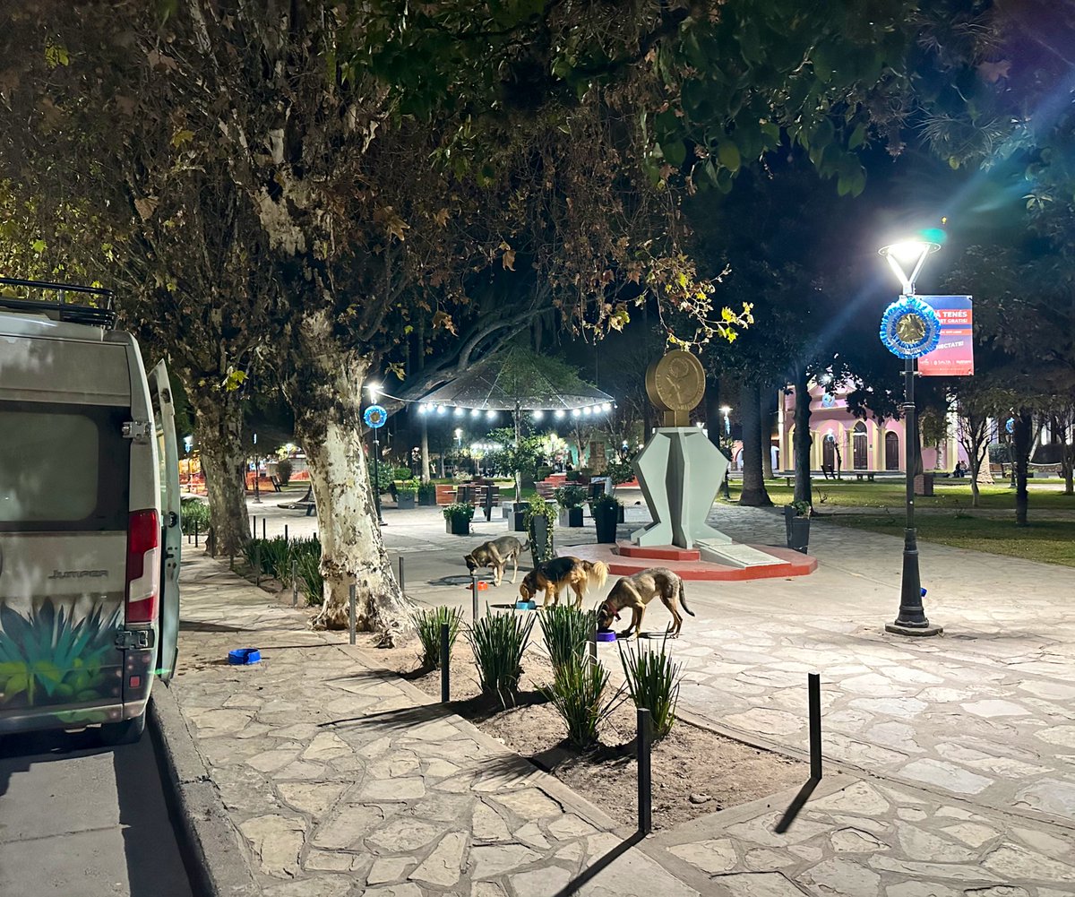 gui10road's tweet image. Como hoy, como siempre.
Frente a la plaza principal del pueblo
📍El Carril, Salta
1 humano, 3 perros,
pueblo a pueblo 🇦🇷
seguimo 🚐