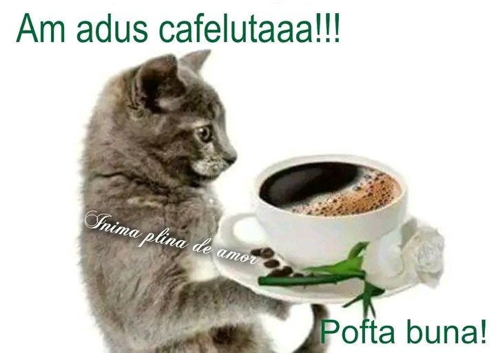 valentin_dalea's tweet image. Bună dimineața !!!