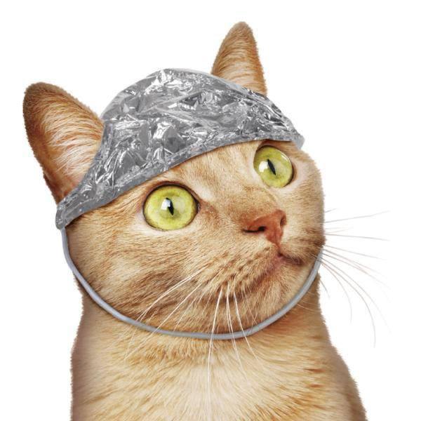 solanarexx's tweet image. i think i joined a cult of cat conspiracy theorists . they call it Catspiracy .. and $TinTin is the leader