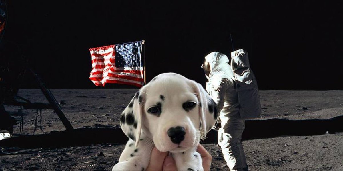 Chasing_Memes's tweet image. $dot is on a moon mission
