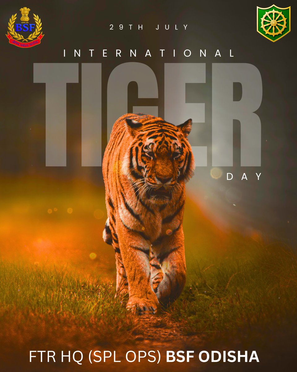 BSFODISHA's tweet image. 🇮🇳Tigers are Symbol of wilderness & Freedom 🐯
- Valmiki Thapar
On #InternationalTigerDay, let's celebrate the majesty & beauty of these incredible creatures. Let's work together to protect their habitats & preserve their future 🐅
#BSFOdisha #TigerConservation #SaveTheTigers