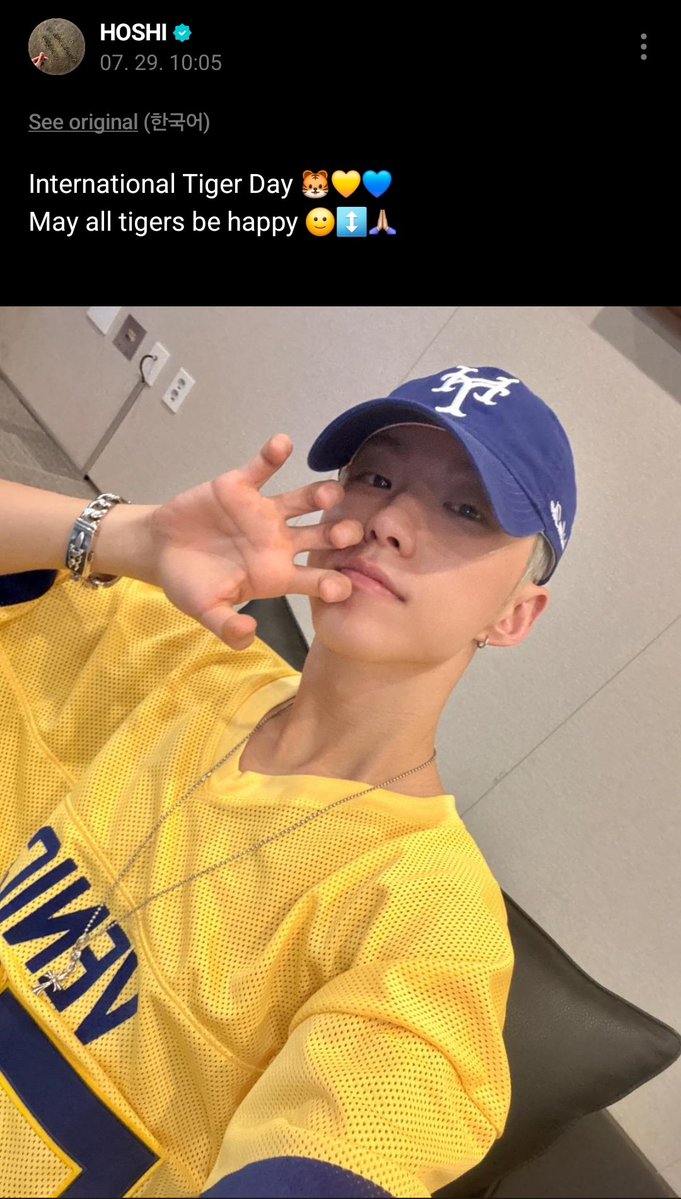 featkidult's tweet image. happy international tiger day, hoshi! 🐯💛💙