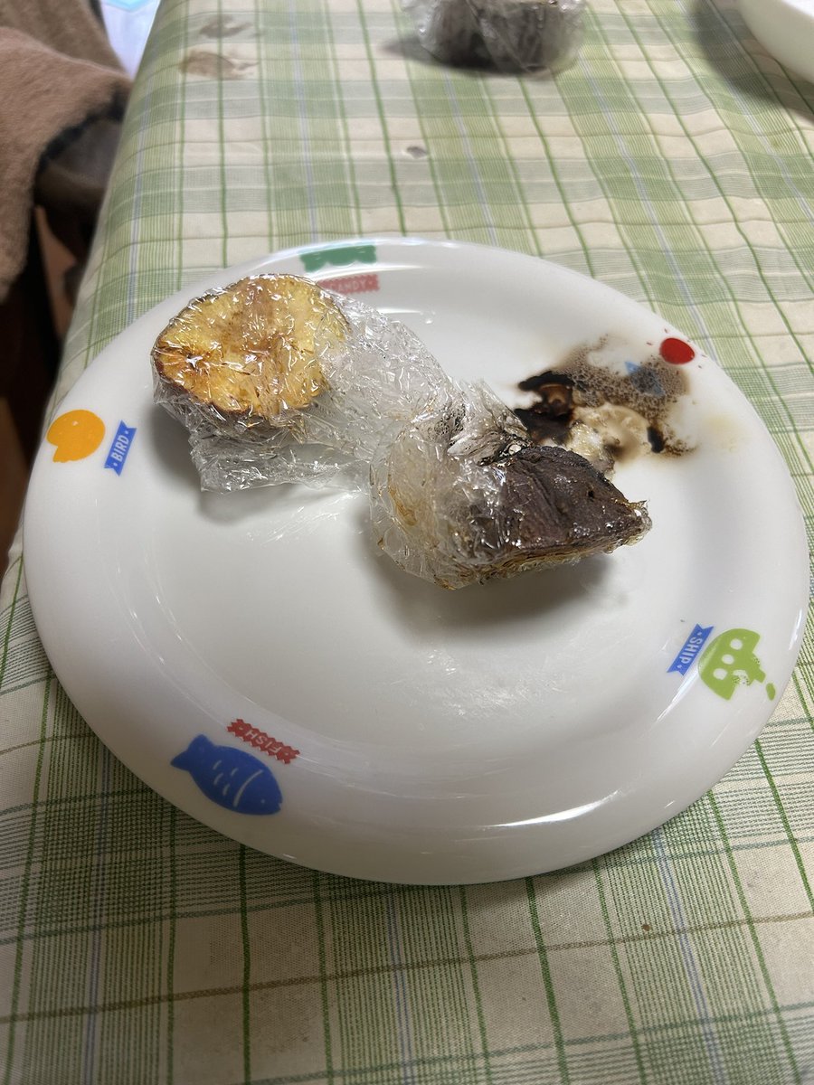 kyu_chan_ten's tweet image. ただ、レンジで焼き芋作ろうと思って…
時間ミスってたみたいで、レンジから煙出てるし、ラップ溶けてるし、出してなお煙出し続けてる🍠（絵関係ないですｺﾞﾒﾝ