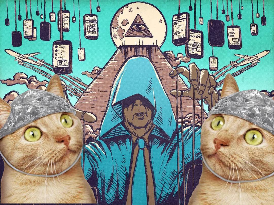 solanarexx's tweet image. the cat cult . Catspiracy is real. $tintin is the leader of this cult