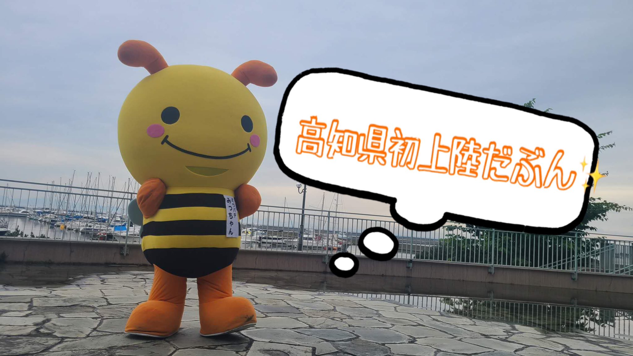 みっちゃん みっけちゃん™️【公式】💙💛🤟🏳️‍🌈大阪府枚方市PR大使