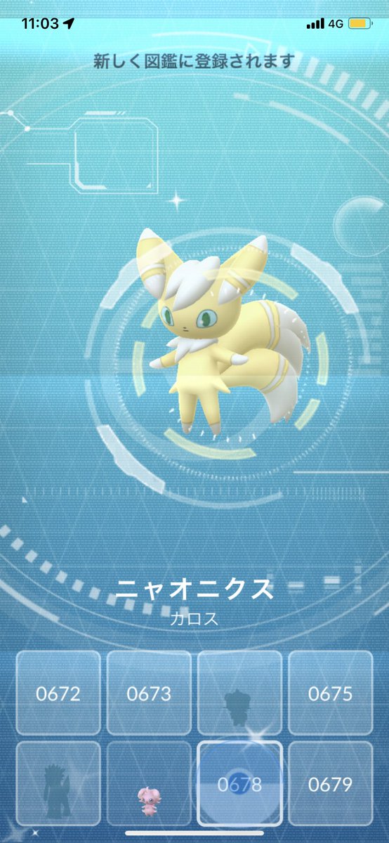 ニャスパーちゃん✨️✨️