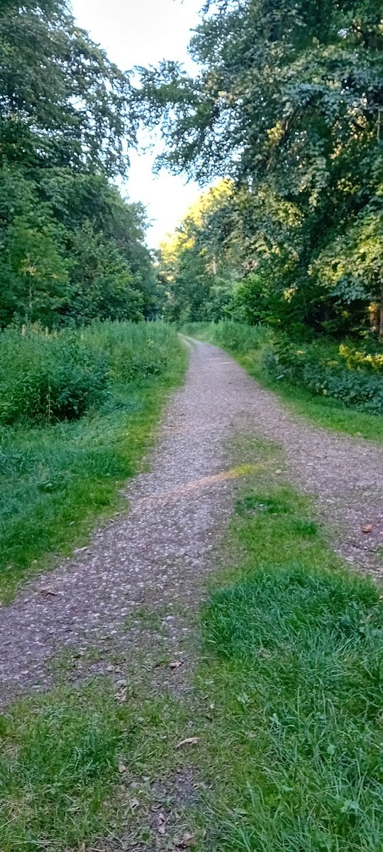 Training to the tune of a watch is simply bad training. Break free. Go back to nature. The air is cleaner, softer surfaces and the minutes float by in an enjoyable manner.