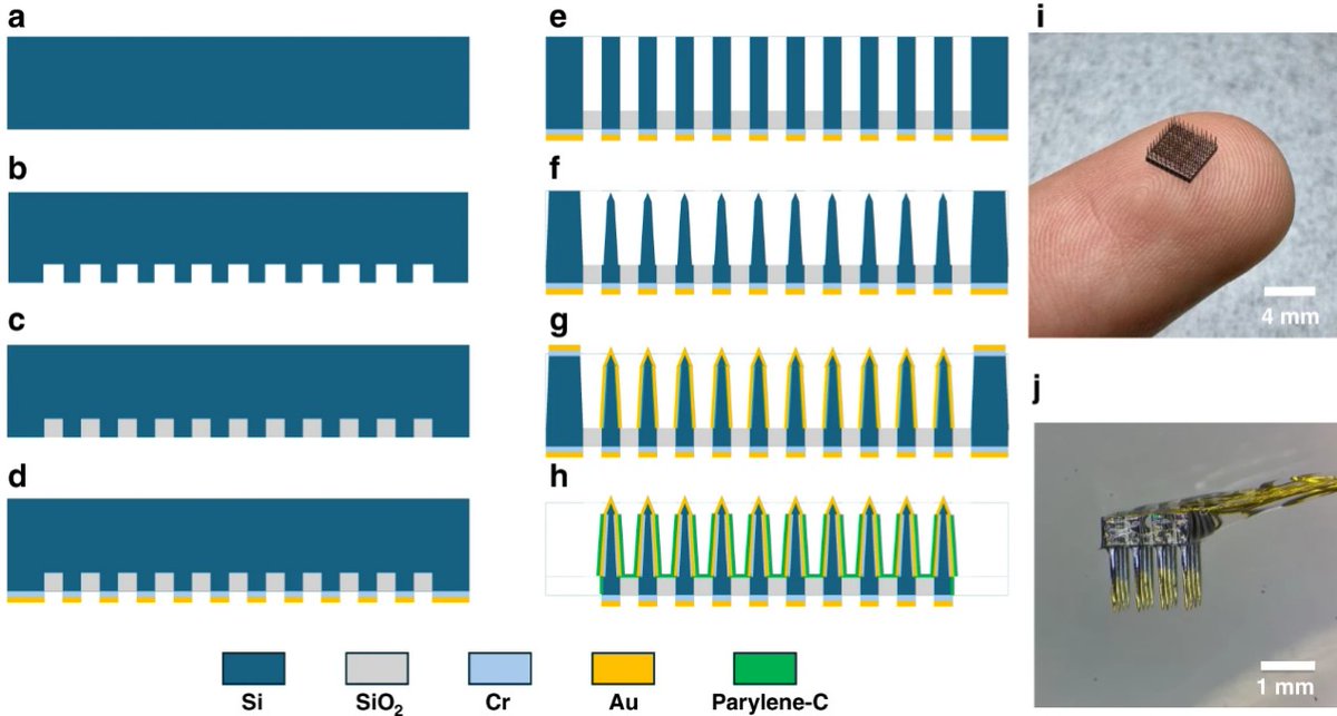 transpread's tweet image. Say goodbye to complex etching! A new PDMS-based method enables precise, residue-free tip exposure in neural microneedle arrays—boosting performance and scalability for brain–machine interfaces.
#Neurotech Advancements in #Microsystems
Details: doi.org/10.1038/s41378…