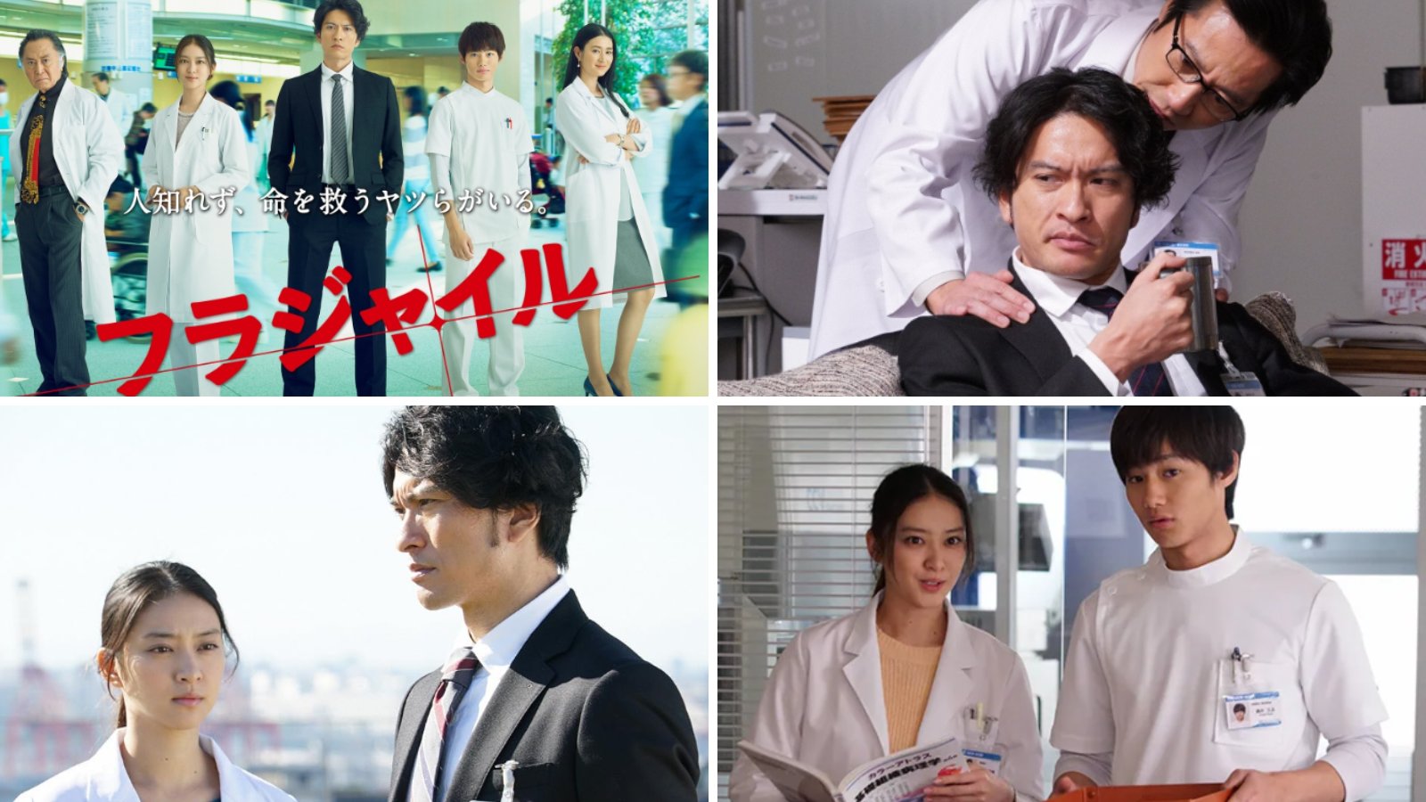 フラジャイル - Search / X