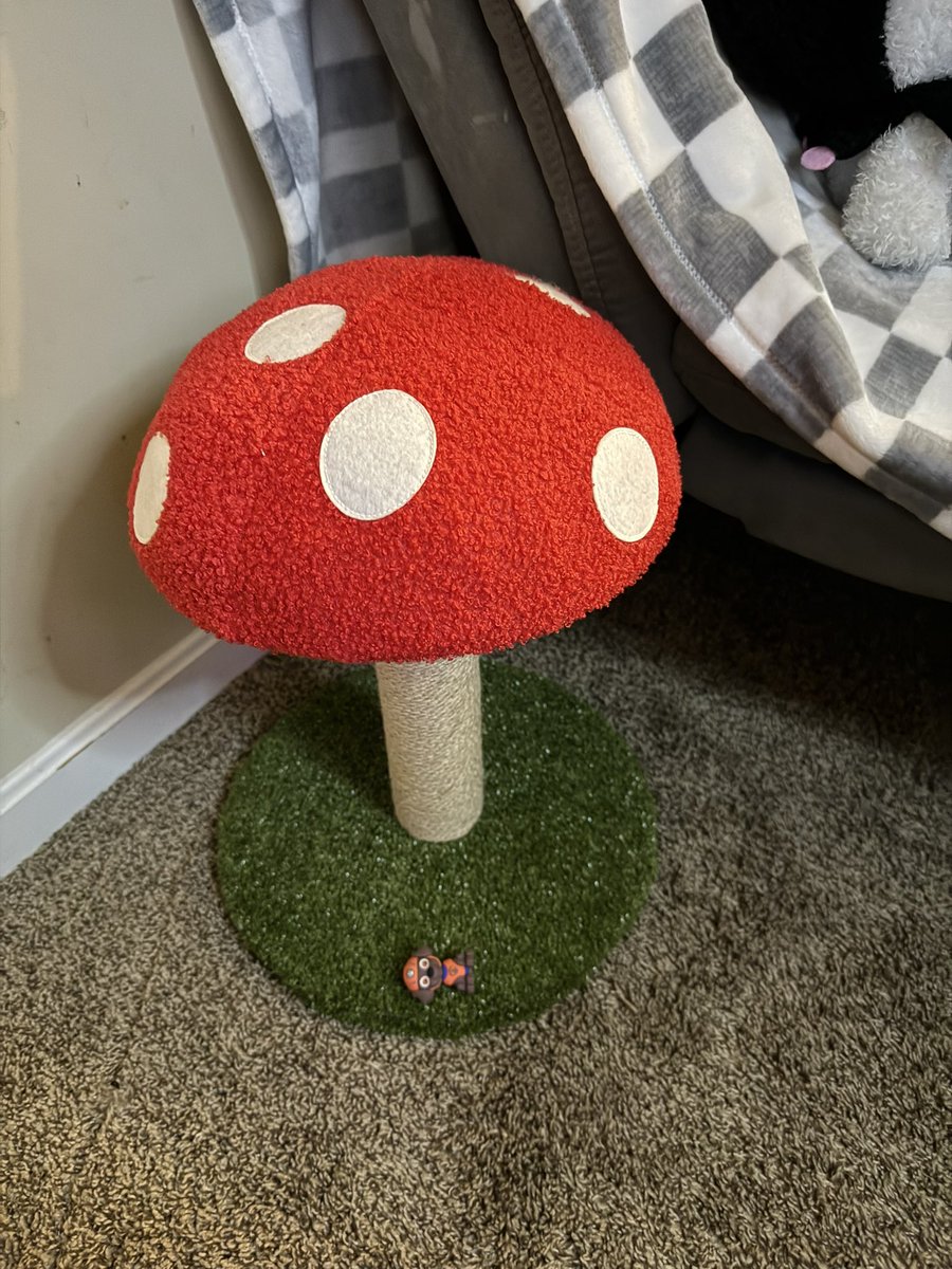 ladyresi's tweet photo. My new baby is going to LOVE his little mushroom. https://t.co/05sN9A6ocn