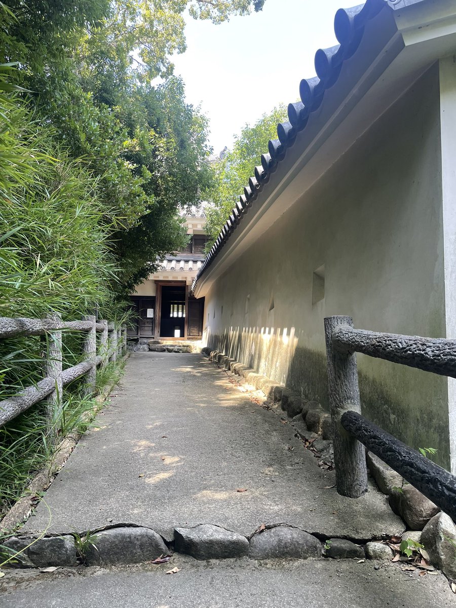fenekusu_rx0's tweet image. 登ってきた！！
