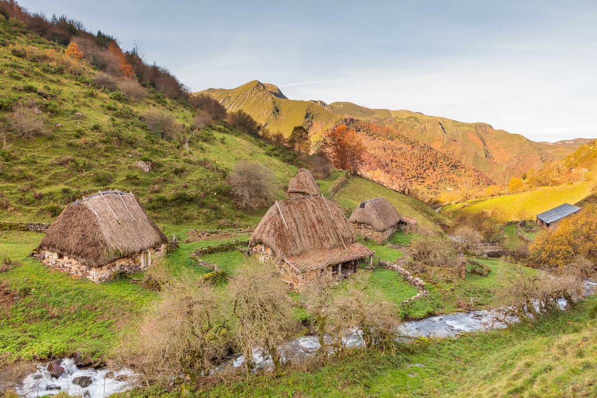 From Garajonay National Park to the cherry trees of Valle del Jerte, Spain offers a journey through unforgettable landscapes 🌍 Five natural destinations show how biodiversity and scenic beauty make up the heart of respectful, deseasonalized, and value-added tourism