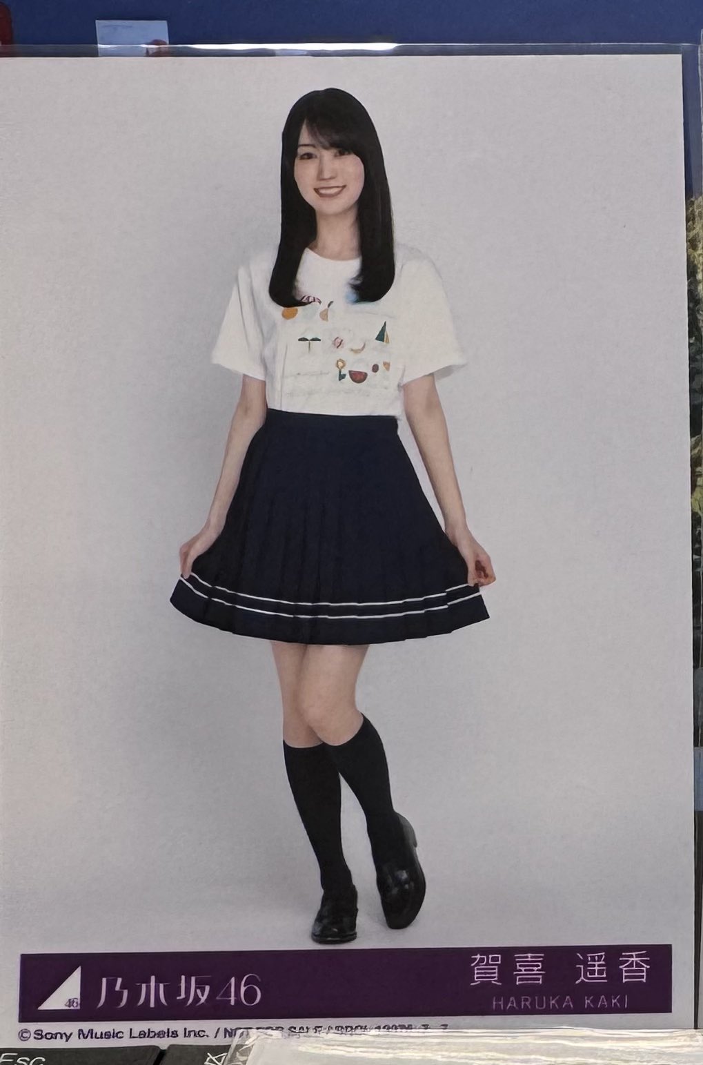 乃木坂46 1box Amazon.co.jp: Same numbers (通常盤) - 乃木坂46 (特典なし