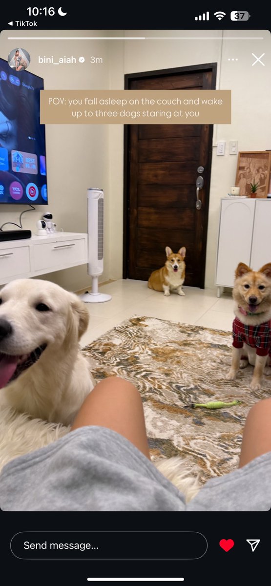 cole_devotee's tweet image. instant bodyguards 🥹🥹