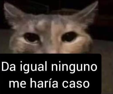 aiapaecc's tweet image. 