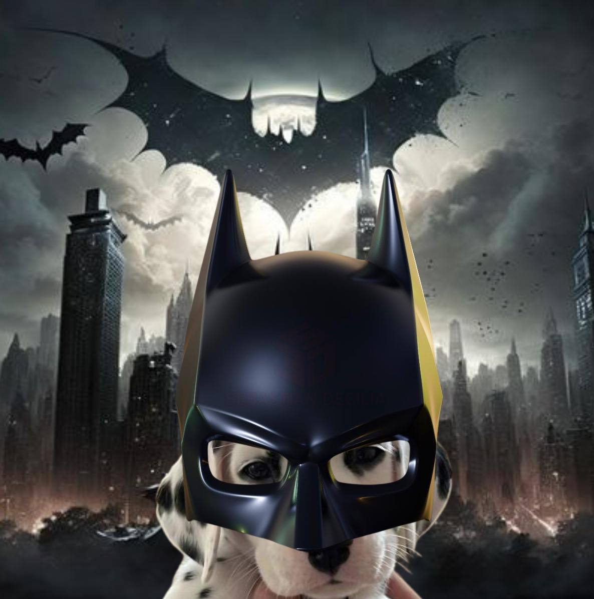 Chasing_Memes's tweet image. bat who ? $dot