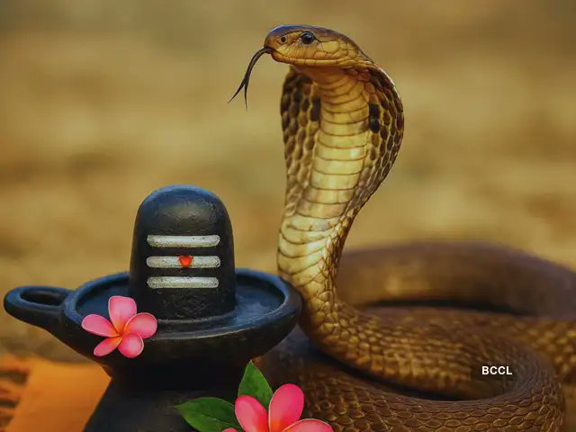 Heartiest greetings to all countrymen on the sacred festival of 'Nag Panchami'. 🐍 

This festival is a living symbol of our eternal culture, love for nature and faith.

With the blessings of Mahadev and Nag Devta, may this festival bring happiness, peace, prosperity and good