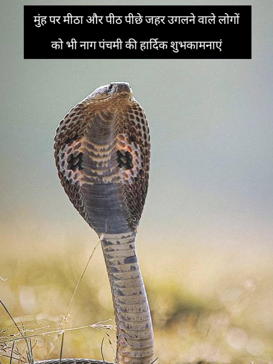 नाग पंचमी की हार्दिक शुभकामनायें उन्हें भी 
जो हमेशा आस्तीन का सांप बनके डसने की कोशिश करते रहते हैं 🐍🐍