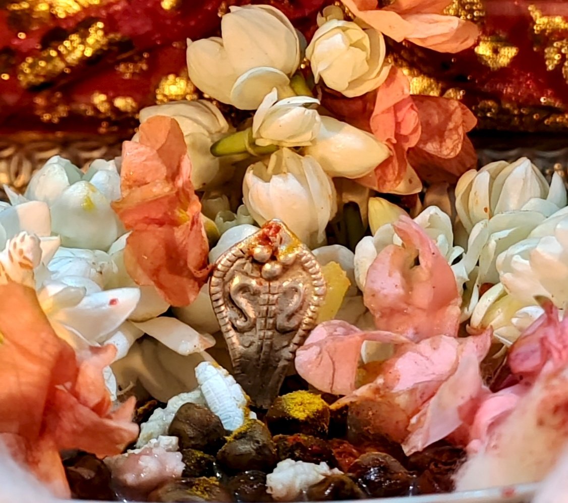 ನಾಗರ ಪಂಚಮಿಯ ಶುಭಾಶಯಗಳು 🙏

#ನಾಗರಪಂಚಮಿ 
#NagaraPanchami