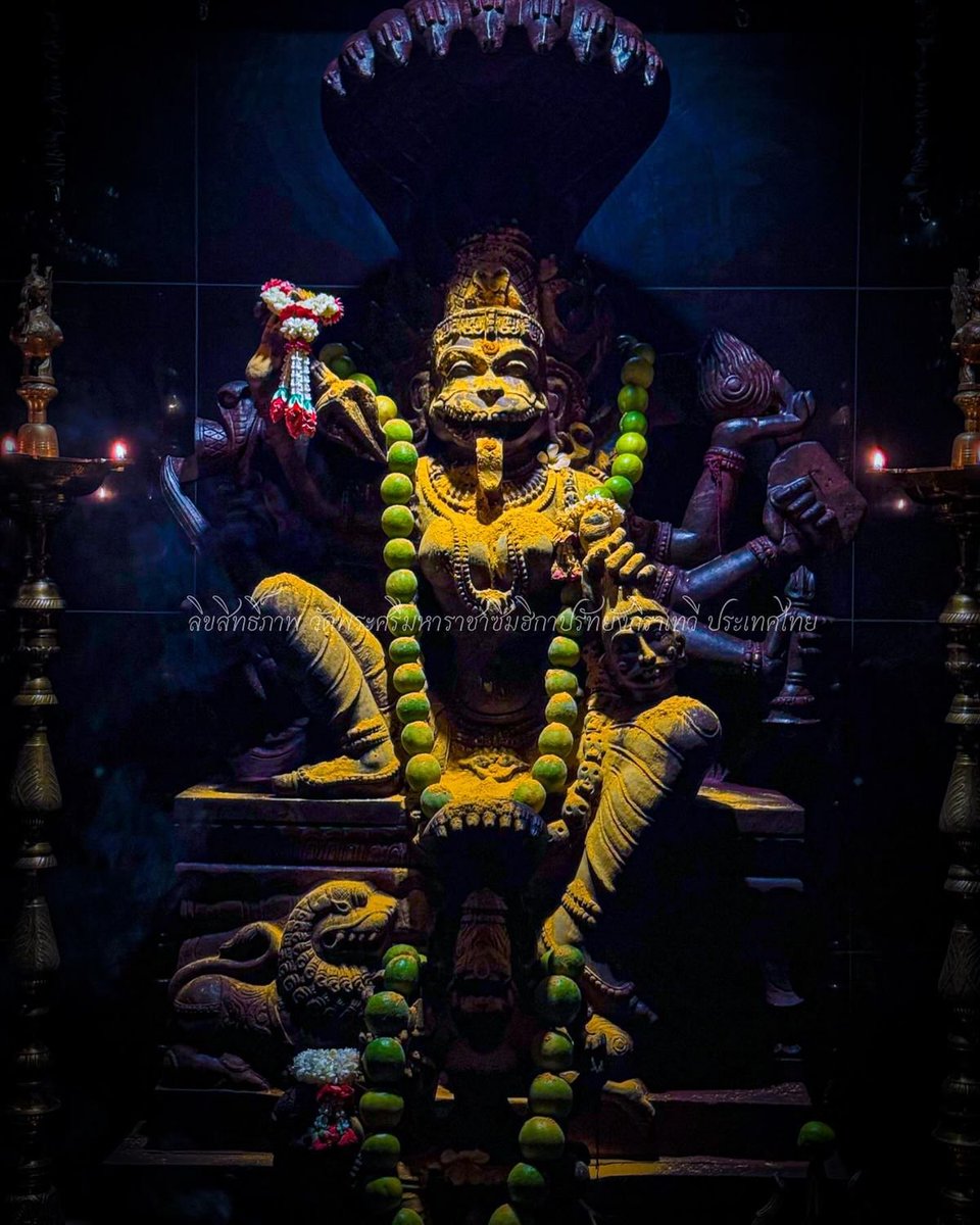 ॐ क्षुत्क्षामां कोटिराक्षीमसिमलिनमुखी मुक्तकेशी रुदन्ति,
नाहं तृप्ता वदन्तीं जगदखिलमिदं ग्रासमेकं करोमि।
हस्ताभ्यां धारयन्तीं ज्वलदलनशिखासन्निभं पाशयुग्मं,
दन्तैर्जम्बूफलाभः परिहरतु भयं पातु मां भद्रकाली।