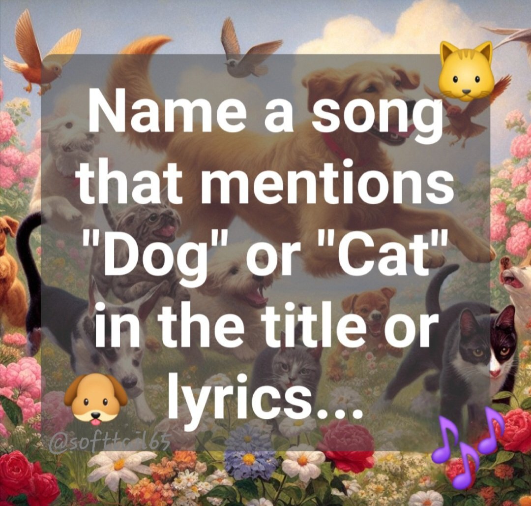 Monica 🌊🌻💙🏳️‍🌈 (@softtail65) on Twitter photo 