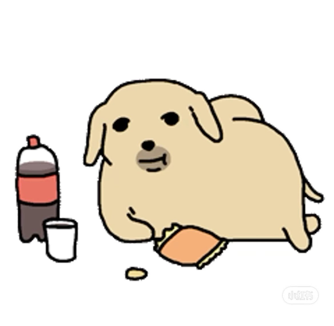 breadgutz's tweet image. ate a banh mi n vibed it up HELLO