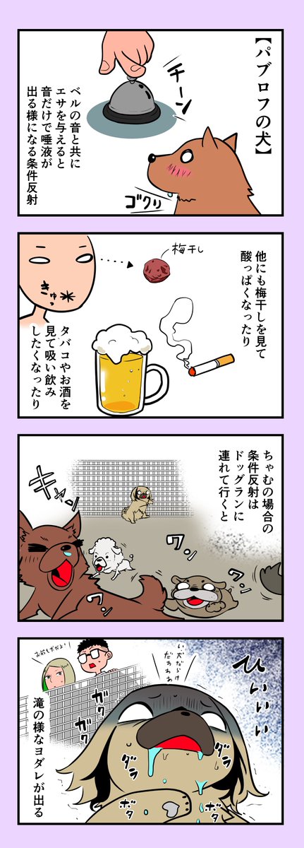 うちのちゃむ 〜パブロフの犬編〜 #うちのちゃむ #ペキニーズ #ペキニーズ大好き #ペット #犬 #犬のいる暮らし #犬のいる生活 #可愛い #可愛すぎる #漫画が読めるハッシュタグ #エッセイ 