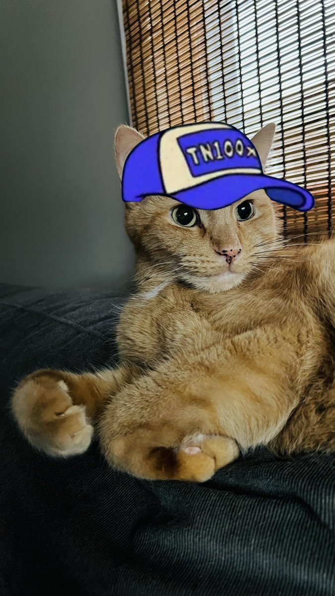 Slammy 💙 (@msslammy) on Twitter photo Got this in the mail today but didn’t get to wear it yet. My cat tried to “borrow” it but he already has a cool cat hat.
Today I napped more than I have since I was a teenager 😂 so my $bnkr score is suffering a bit. Tomorrow is another day.
<a href="/MintedMerchShop/">Minted Merch ᵍᵐ</a> Got this in the mail today but didn’t get to wear it yet. My cat tried to “borrow” it but he already has a cool cat hat.
Today I napped more than I have since I was a teenager 😂 so my $bnkr score is suffering a bit. Tomorrow is another day.
<a href="/MintedMerchShop/">Minted Merch ᵍᵐ</a>