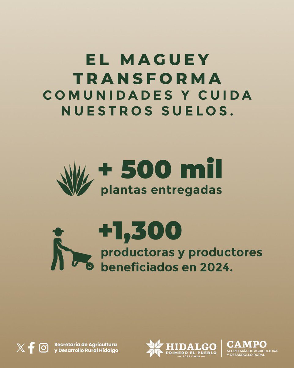 Enfoque_hgo's tweet image. El #maguey transforma comunidades y cuida de los suelos.🌍
La SADERH ha entregado más de 500 mil plantas.🌵
A su vez, más de 1,300 productoras y productores fueron beneficiados con equipamiento en 2024. 👩🌾👨
#PrimeroElCampo