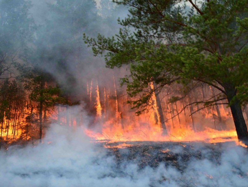 Ойн наадмаар одон медаль тараасангүй. Харин оюуныг дэмжих хэдэн сан байгууллаа. 
Бөх байлах гэж бэл бэлчингээрээ бусадтай уралдсангүй. Харин ойн түймэртэй тэмцэж буй онцгойгийн байлдагч нарт иж бүрдэл тоногтой байлдааны Камаз, жэт завиа хандивлалаа. Онцгой байдлын хамт олонд