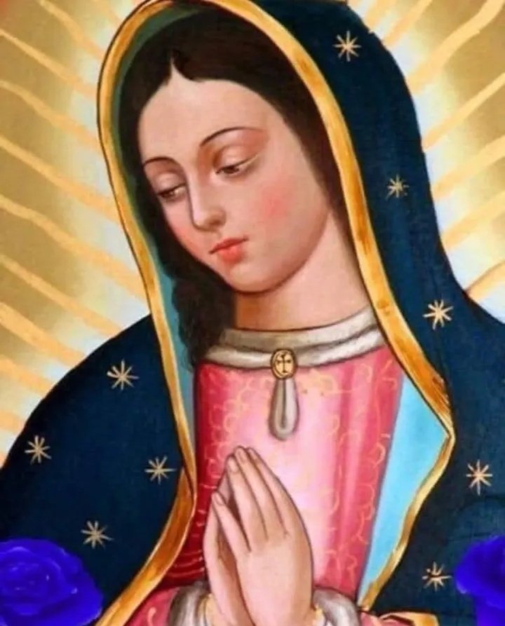 ✝️ Dios te salve, María, 
llena eres de gracia;
el Señor es contigo.
Bendita Tú eres 
entre todas las mujeres,
y bendito es el fruto de tu vientre, Jesús. 

Santa María, Madre de Dios,
ruega por nosotros, pecadores,
ahora y en la hora de nuestra muerte. Amén 🙏