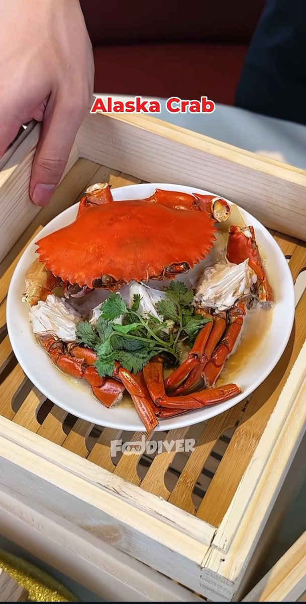 ButterAlways92's tweet image. To all food content creators yg dah sampai tahap ada studio ada staff ramai, hire ja la sorg yg pandai baca buku culinary. Suruh dia cross check betul ka dishes tu nama apa, jenis cuisine apa. Sudah2 la template rage baiting or outright bodoh tak reti identify.