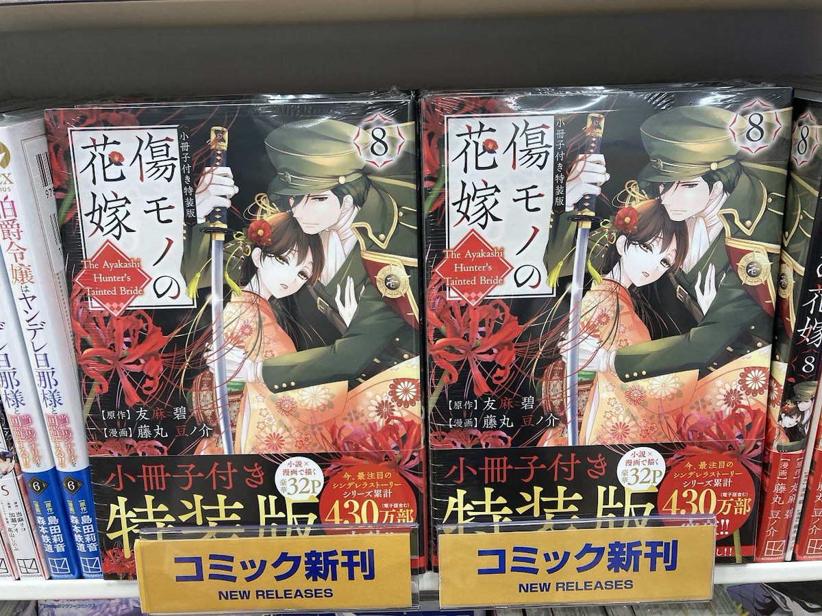 夫を味方にする方法 ドイツ版 超豪華限定版 特装版 1巻 漫画 初版 絶版