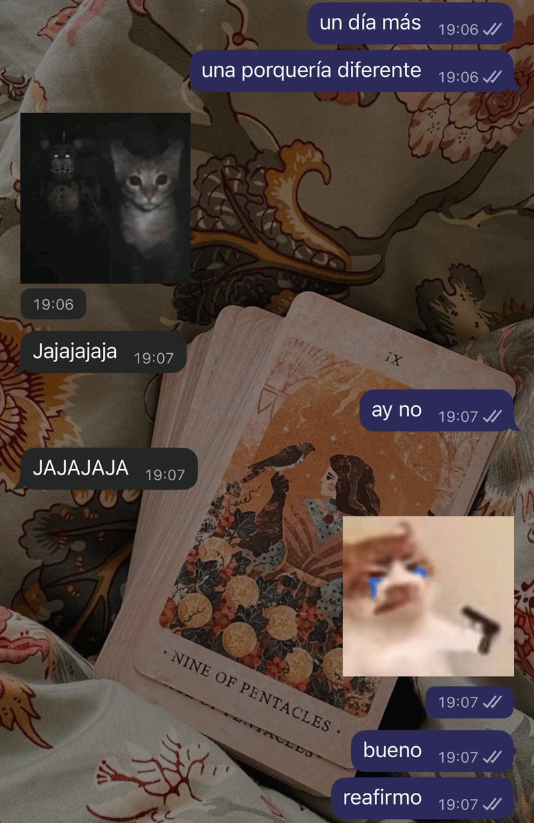 Literal, mi vida es una tragicomedia. 
Hoy le mandé un mensaje equivocado a un manager. 😭