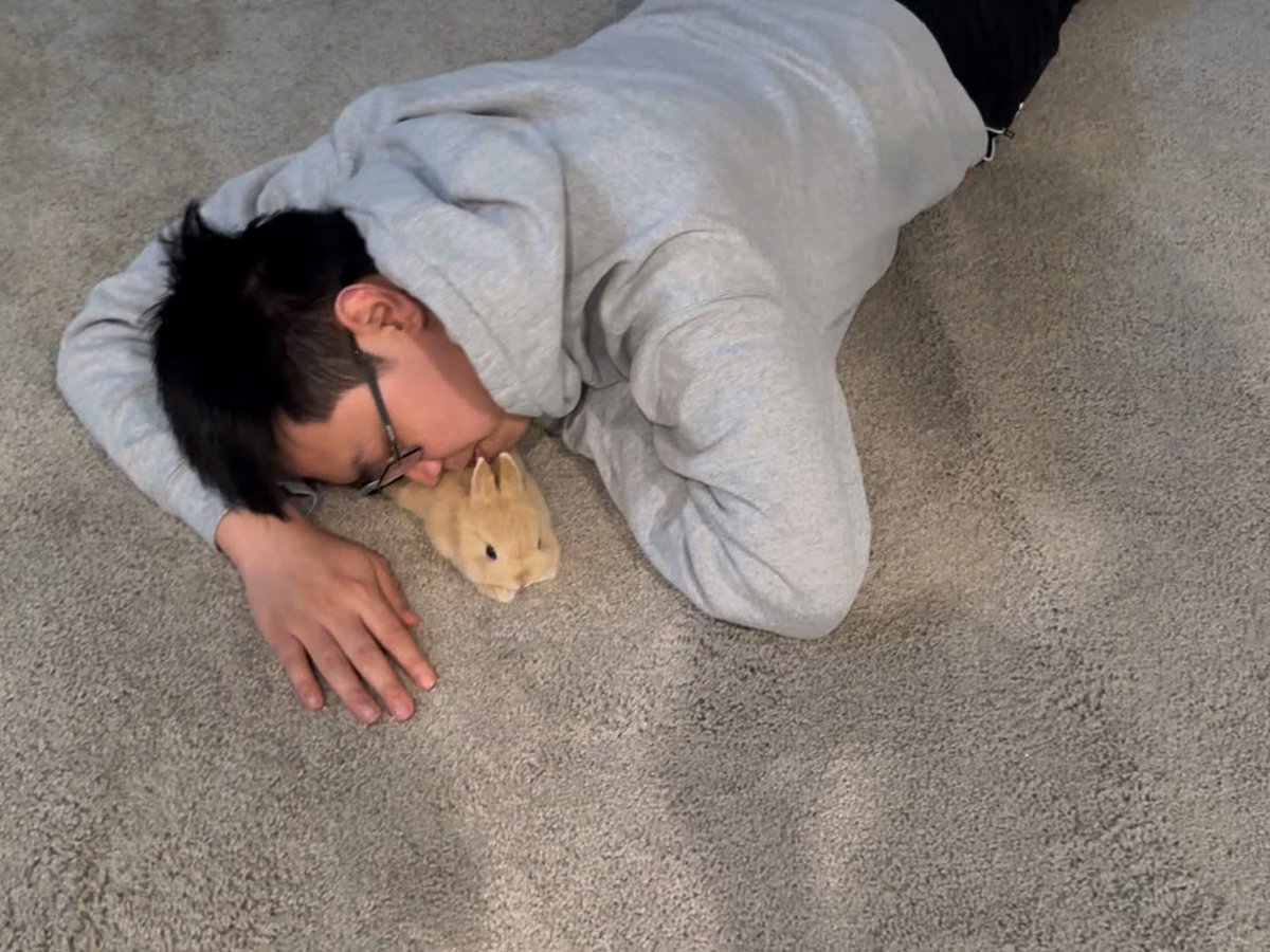 ShouldHaveRabit's tweet image. 