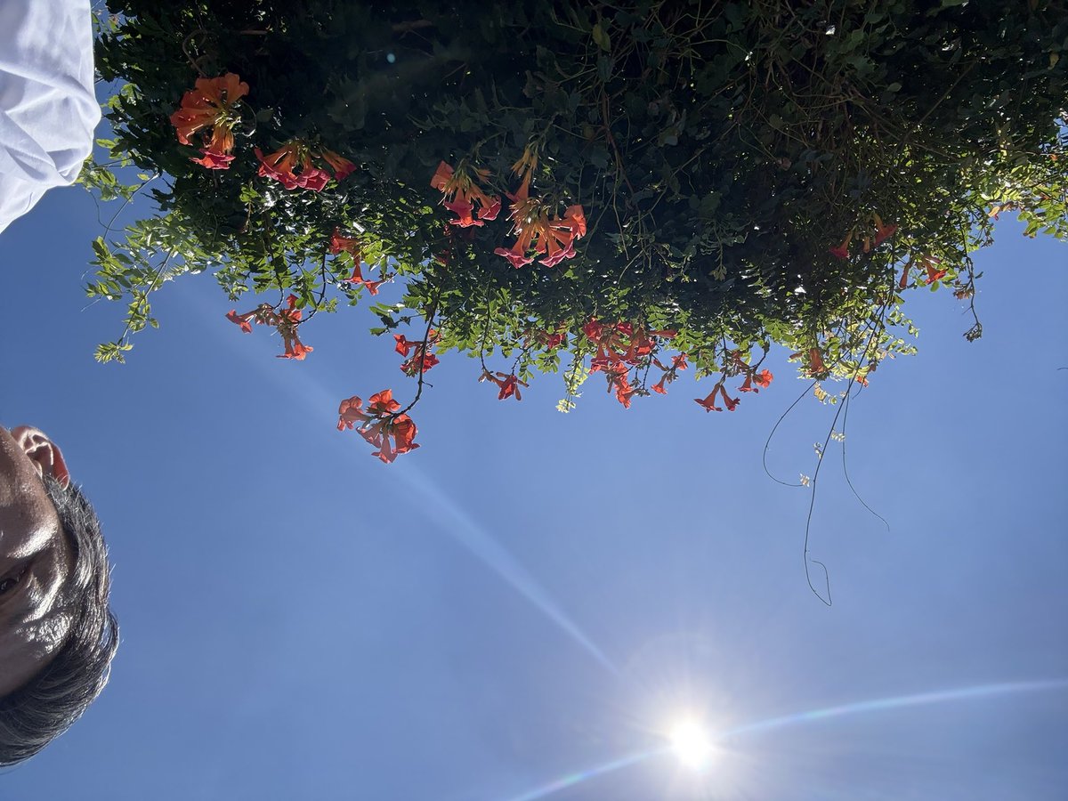 footbrainMC's tweet image. おはようございます☀

ロケ日和

だけど

撮影は建物の中🤣