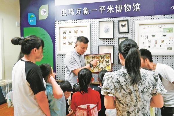 近日，记者在鄞州区塘溪镇卫生院儿保科发现，该卫生院在这里打造了“虫鸣万象一平米博物馆”，展品以蝴蝶标本为主。曾经充斥着哭闹声的候诊区，如今成了“昆虫乐园”。