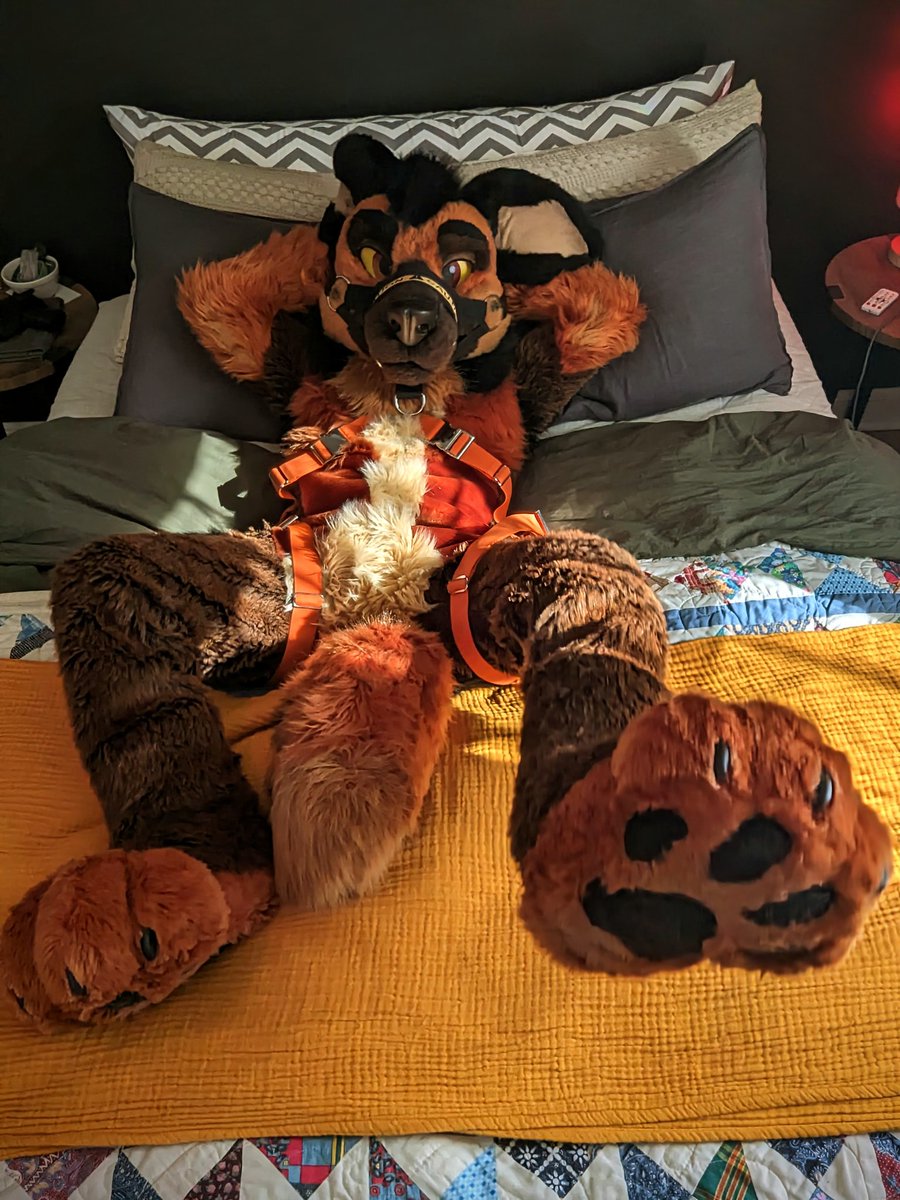 🐾🐾🐾
#MFYmonday