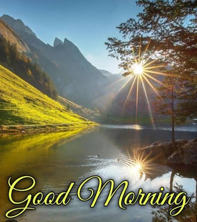 Pradeep16217665's tweet image. Good morning X friends 
Have a nice day