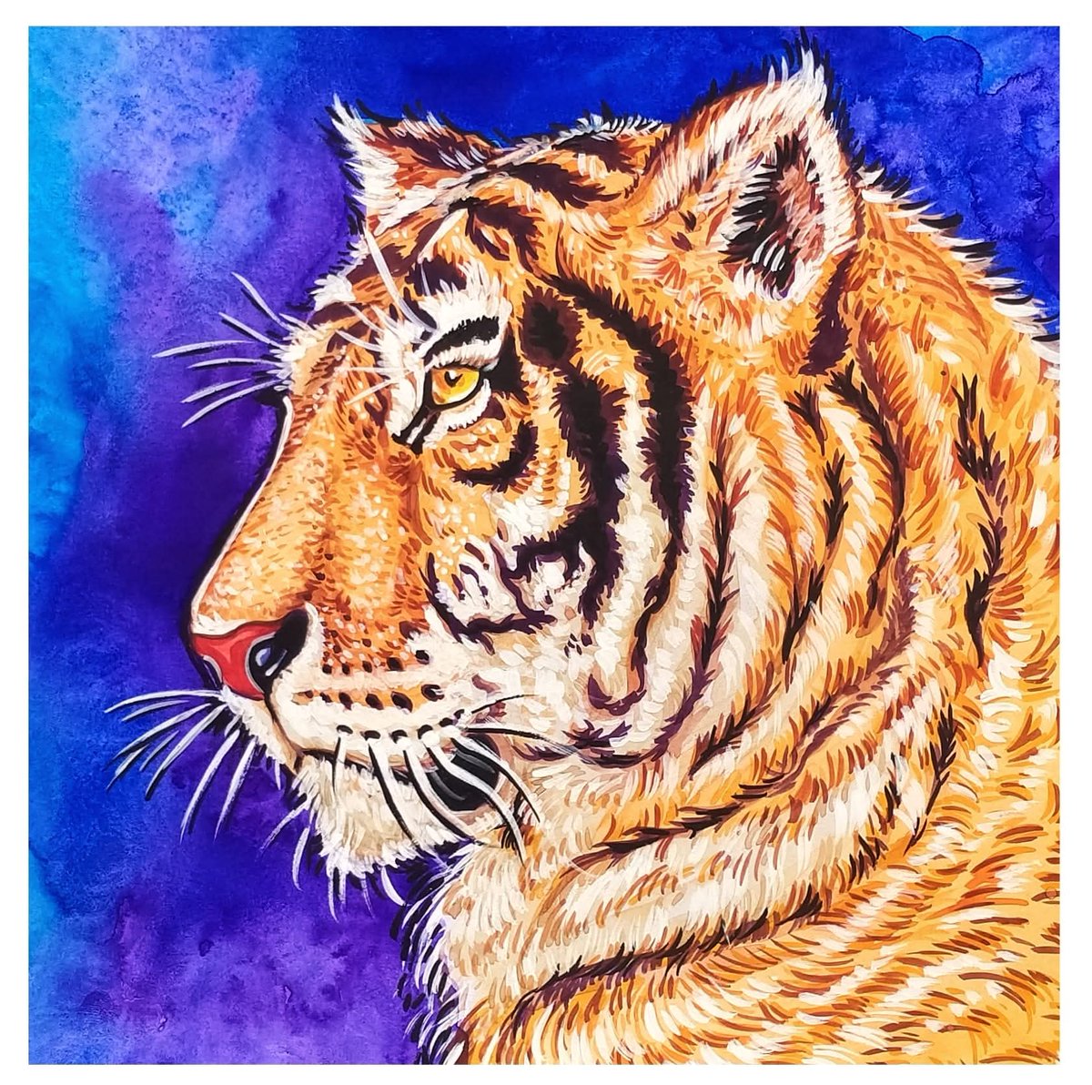 vilambaram's tweet photo. #Tigersday #Mysketch :) 🐯 https://t.co/Sz5YXUJqUc