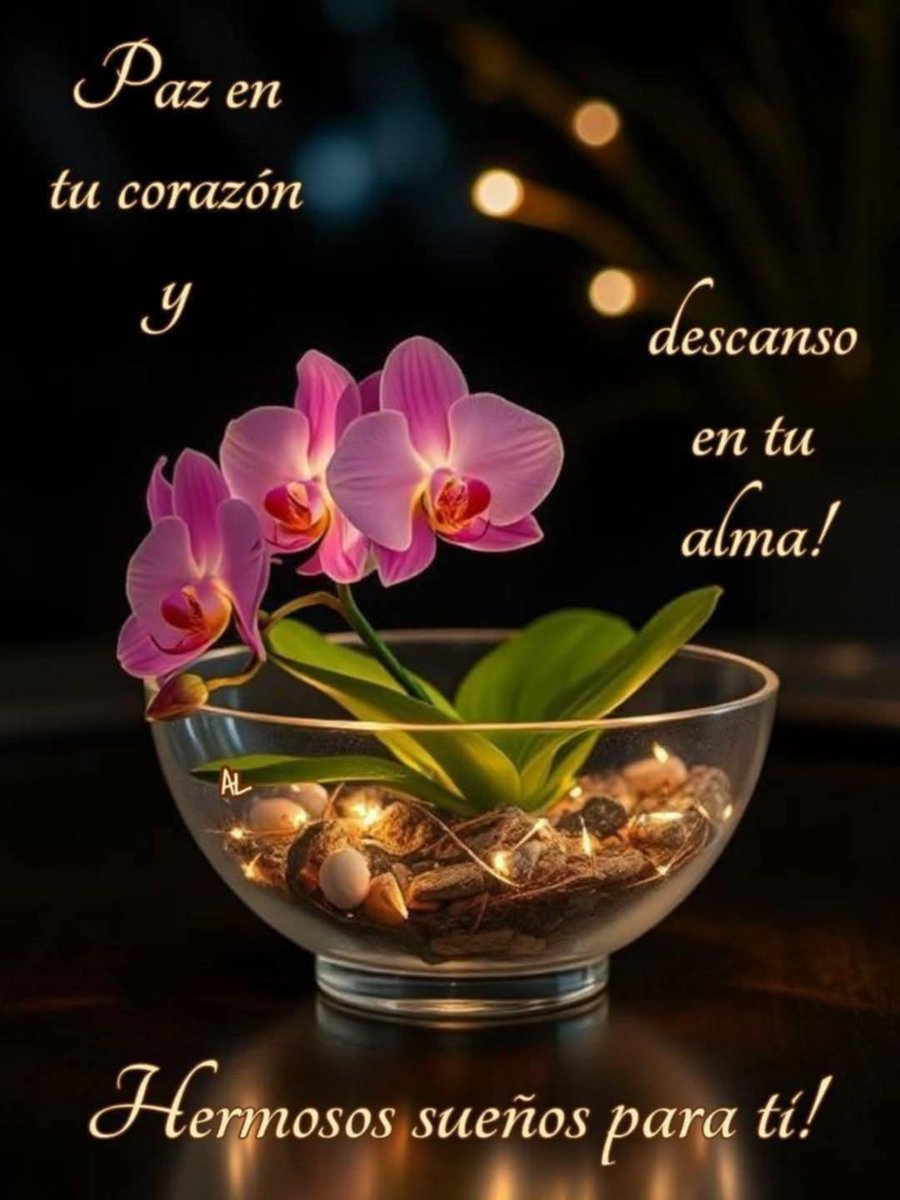 JosDeJessR15510's tweet image. 