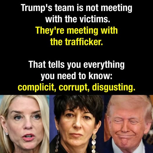 Poppy 💫🇦🇺☮🍅🥒🥕🥭🍊🍋 (@trevor_allan_1) on Twitter photo 