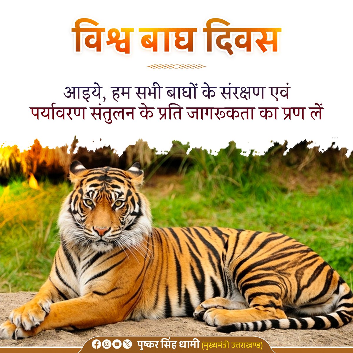 विश्व बाघ दिवस के अवसर पर आइए हम सभी वन्यजीवों के संरक्षण का संकल्प लें। 

बाघों के संरक्षण की दिशा में उत्तराखण्ड अग्रणी भूमिका निभा रहा है। यह प्रदेश सरकार के प्रयासों का परिणाम है कि संपूर्ण प्रदेश में बाघों की संख्या में तेजी से वृद्धि हुई है। यह हम सभी का कर्तव्य है कि हम इन